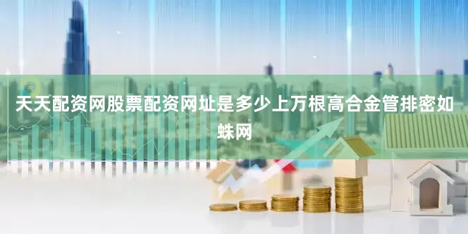 天天配资网股票配资网址是多少上万根高合金管排密如蛛网